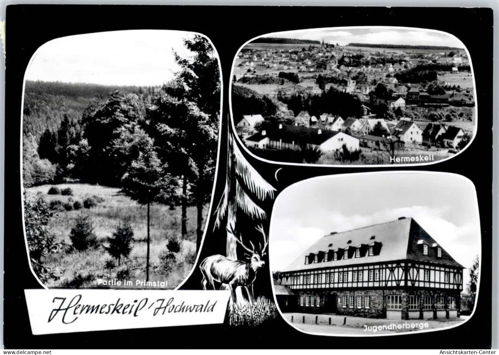 51060750 - Hermeskeil