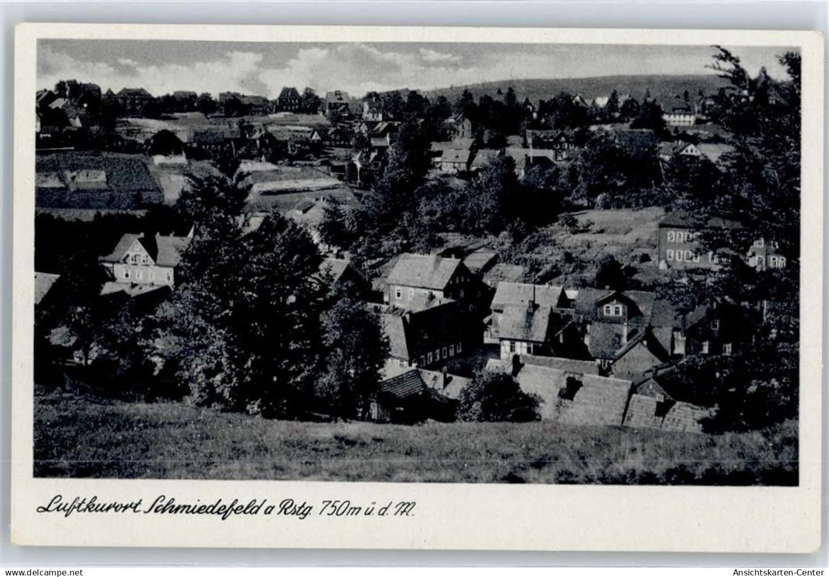 51064574 - Schmiedefeld am Rennsteig