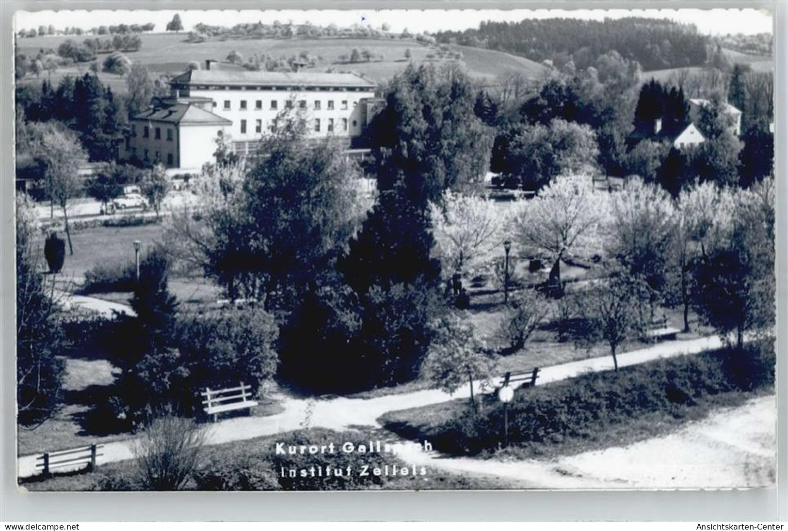 51069477 - Gallspach