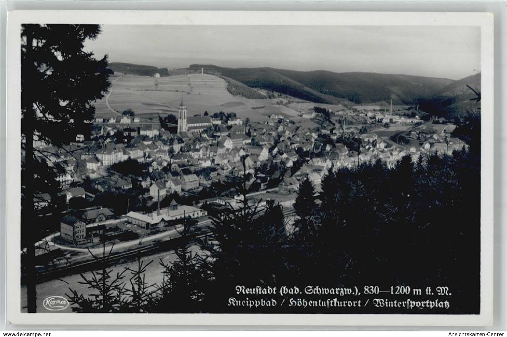 51079299 - Titisee-Neustadt