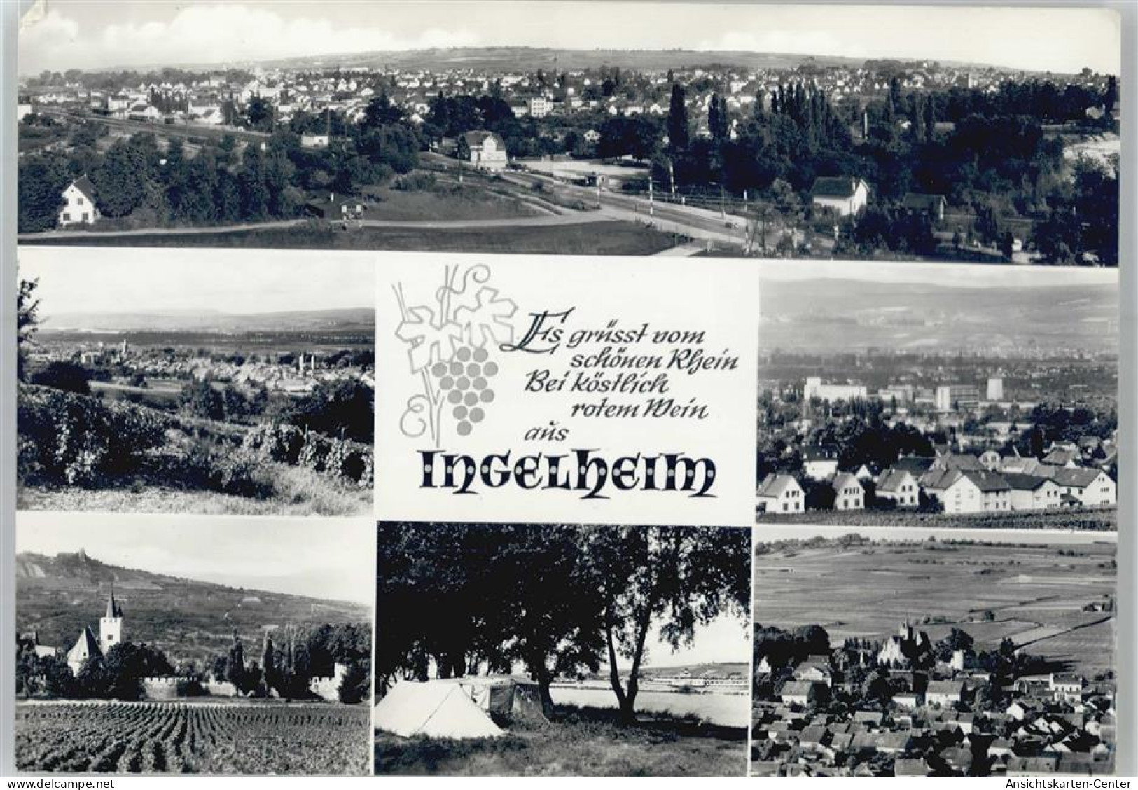 51083184 - Ingelheim am Rhein