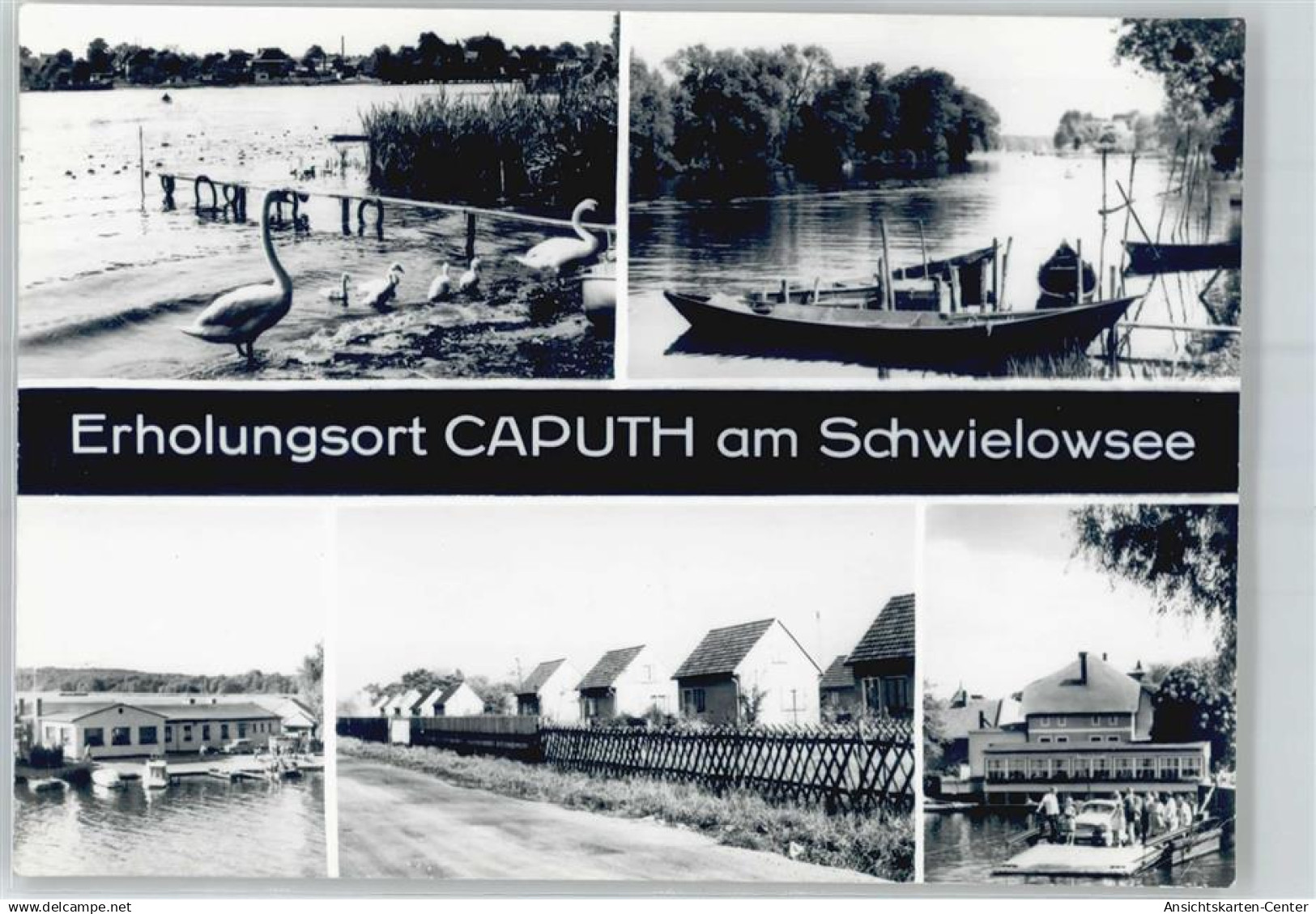 51087808 - Caputh