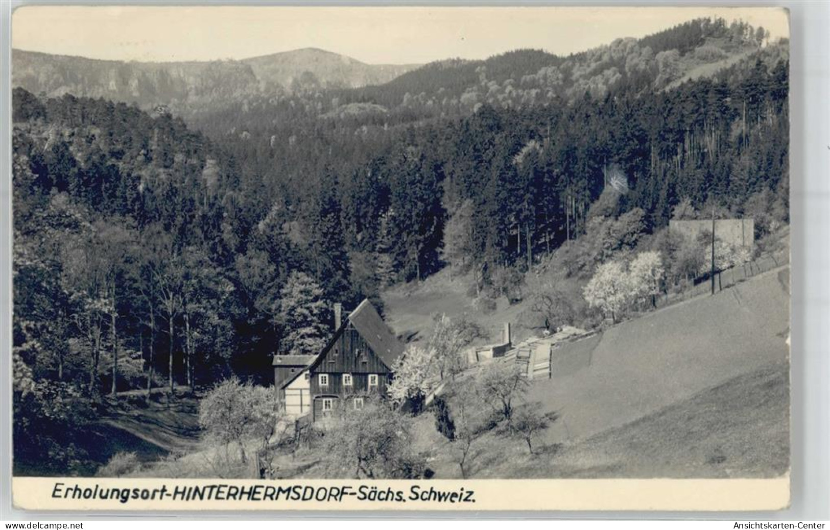 51087960 - Hinterhermsdorf