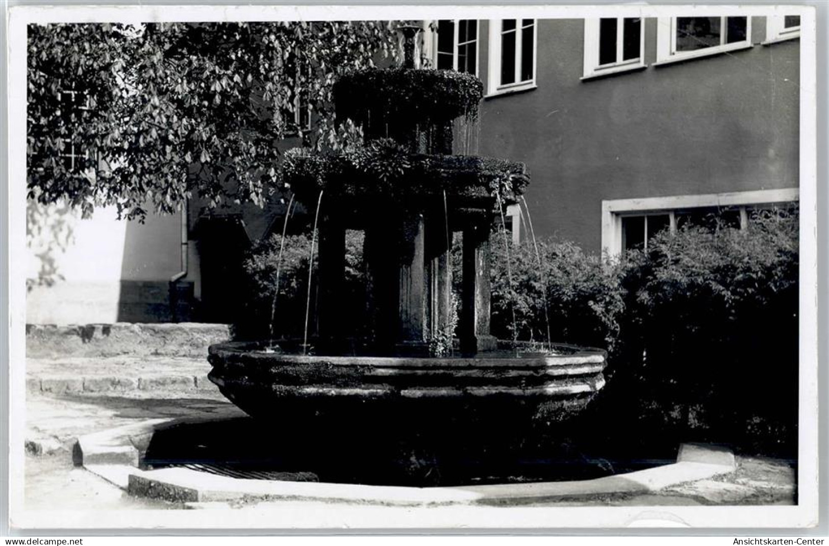 51095433 - Bad Teinach
