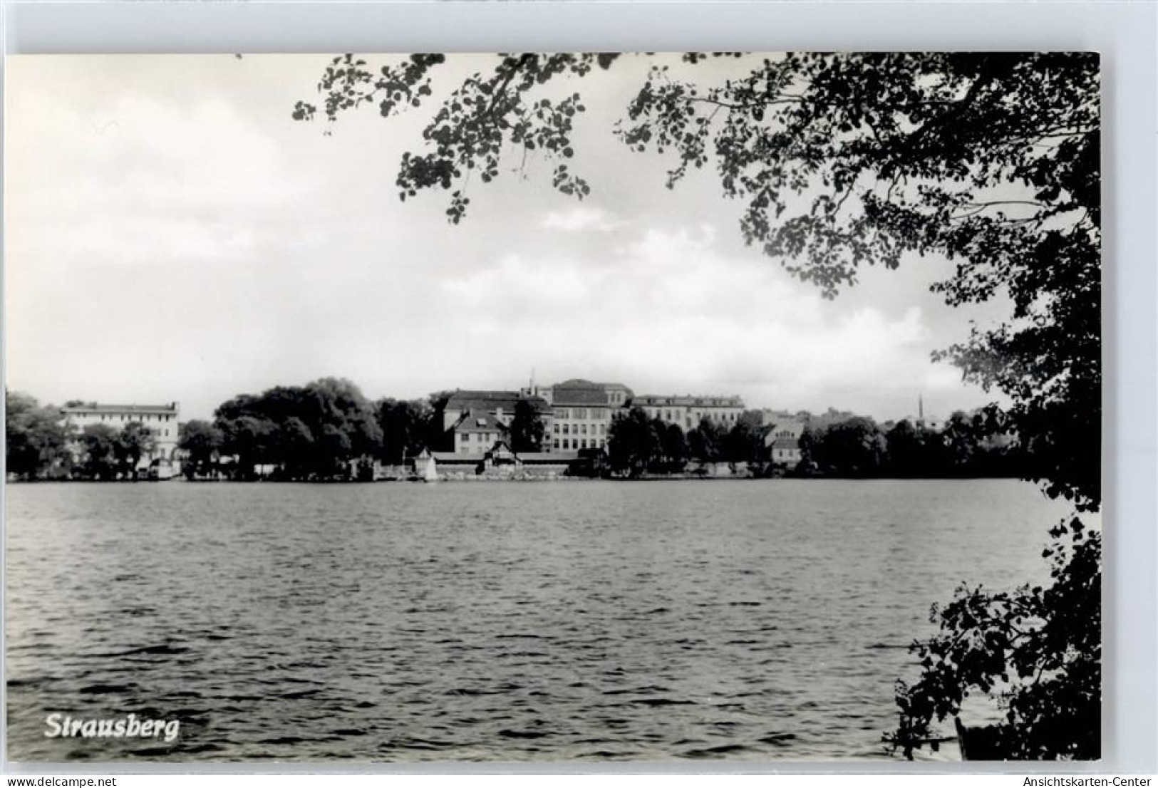 51095476 - Strausberg