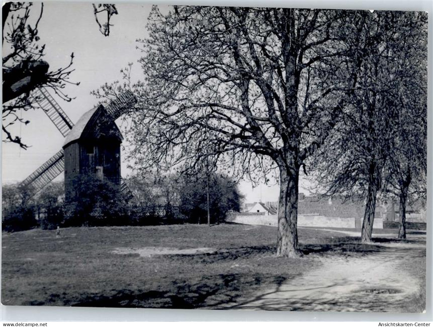 51096548 - Werder (Havel)