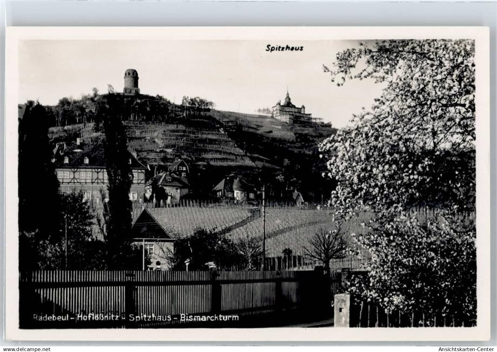51097725 - Radebeul