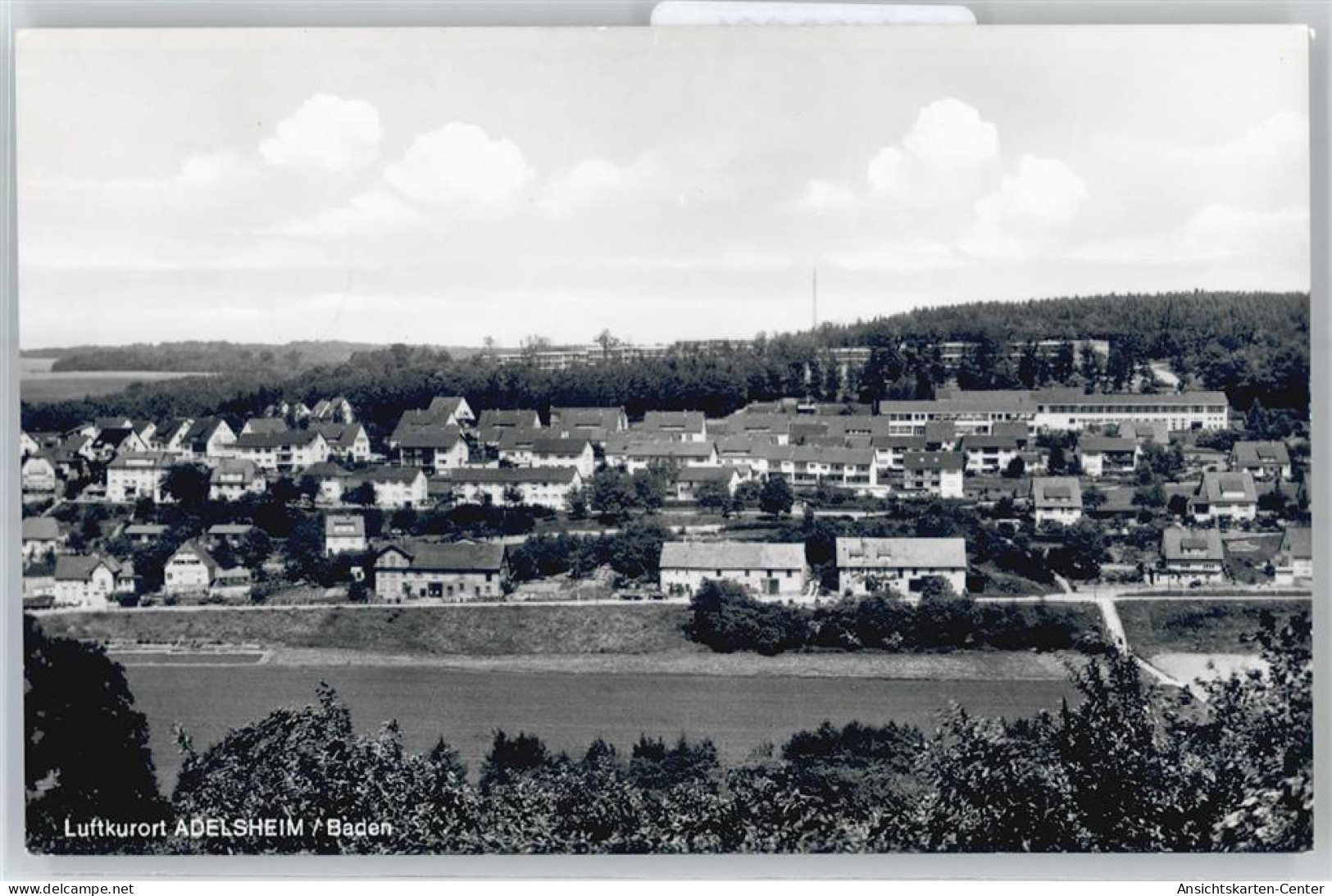 51100061 - Adelsheim