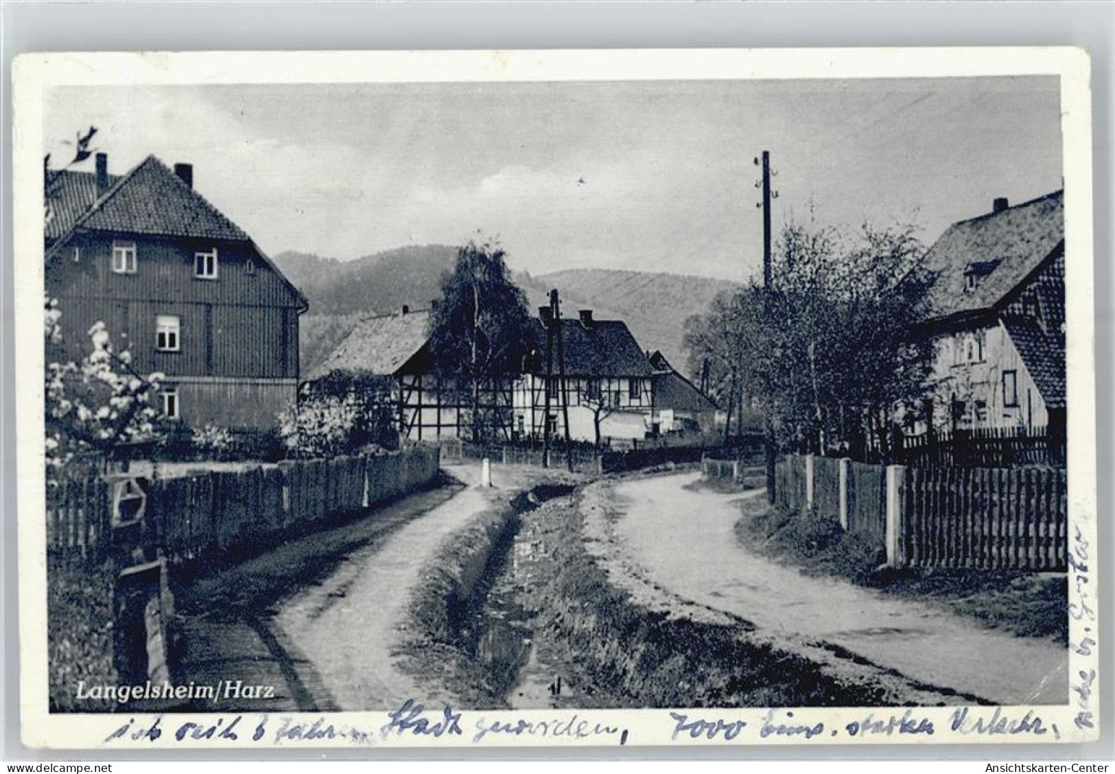 51100294 - Langelsheim