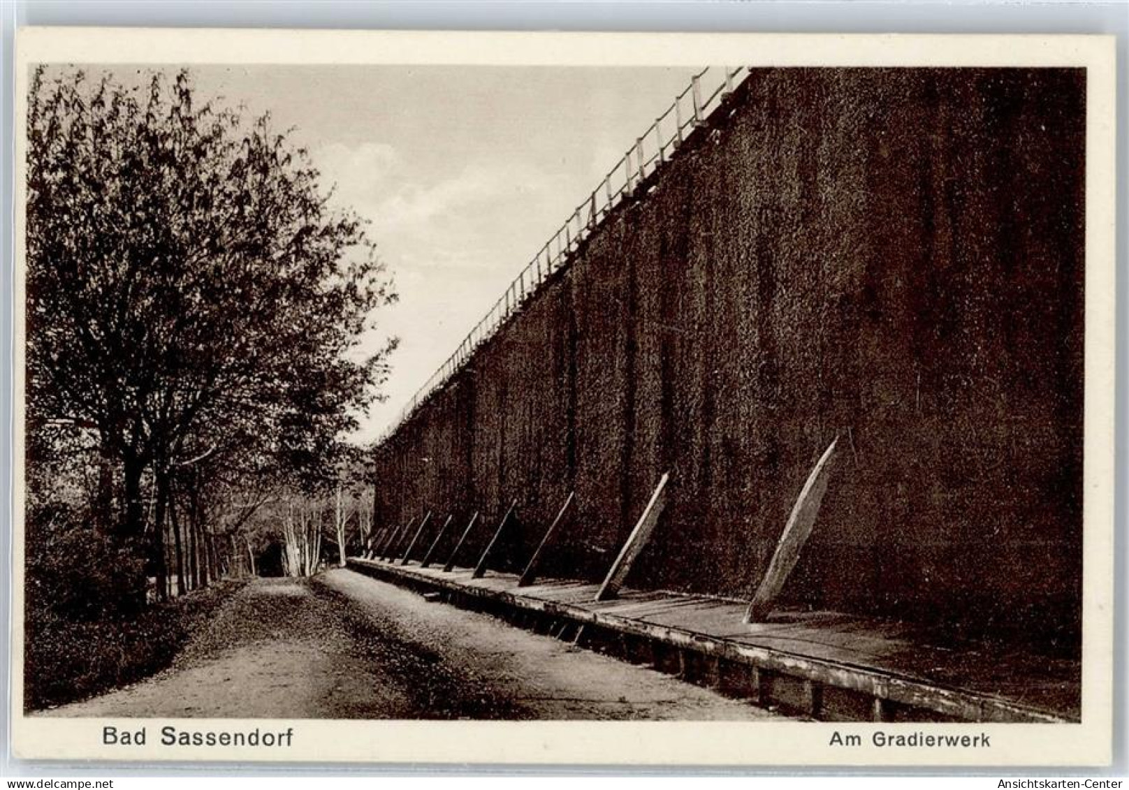 51109303 - Bad Sassendorf