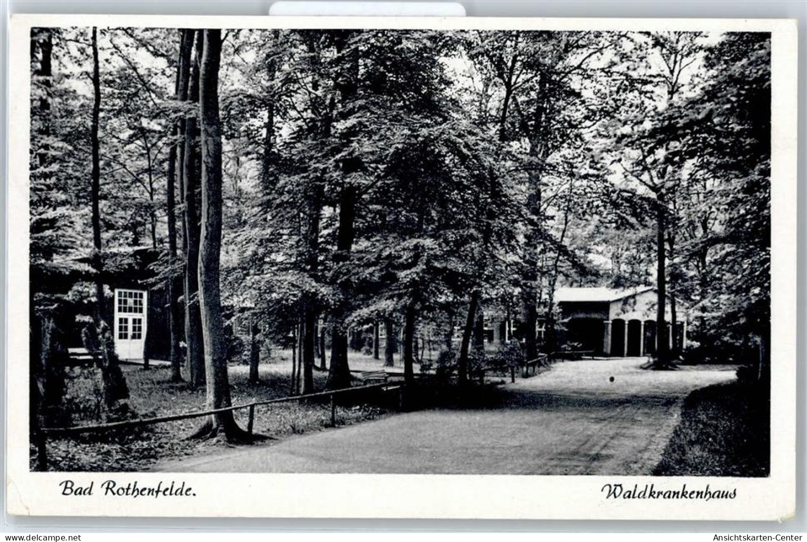 51113929 - Bad Rothenfelde