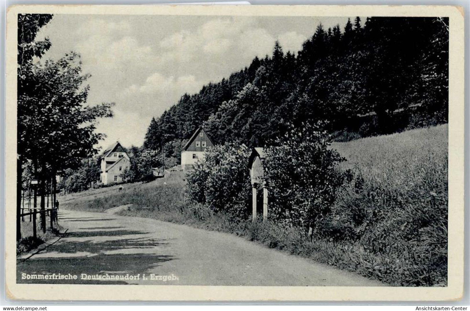 51114475 - Deutschneudorf