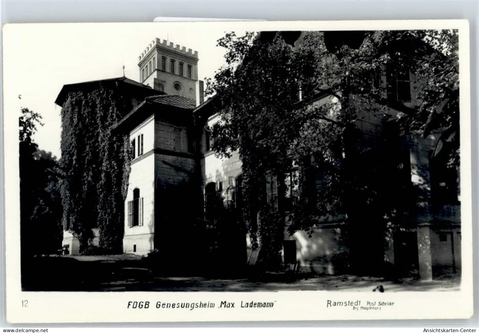 51114956 - Ramstedt b Wolmirstedt