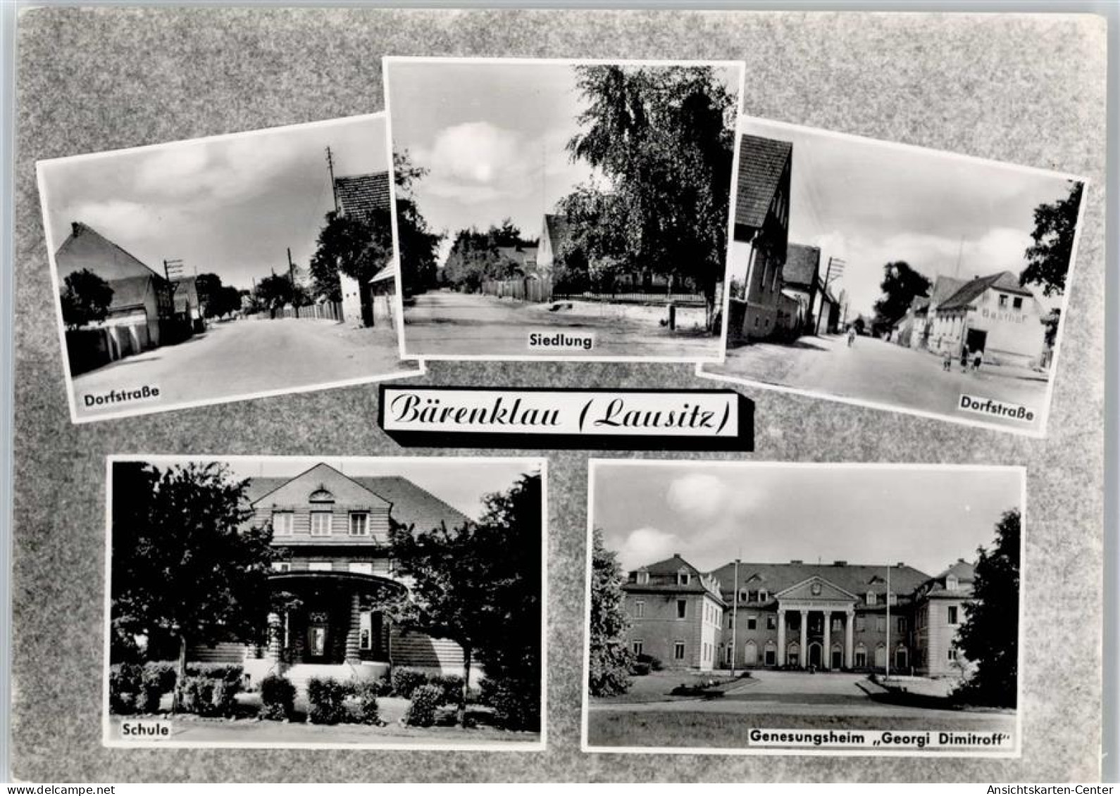 51115377 - Baerenklau , NL