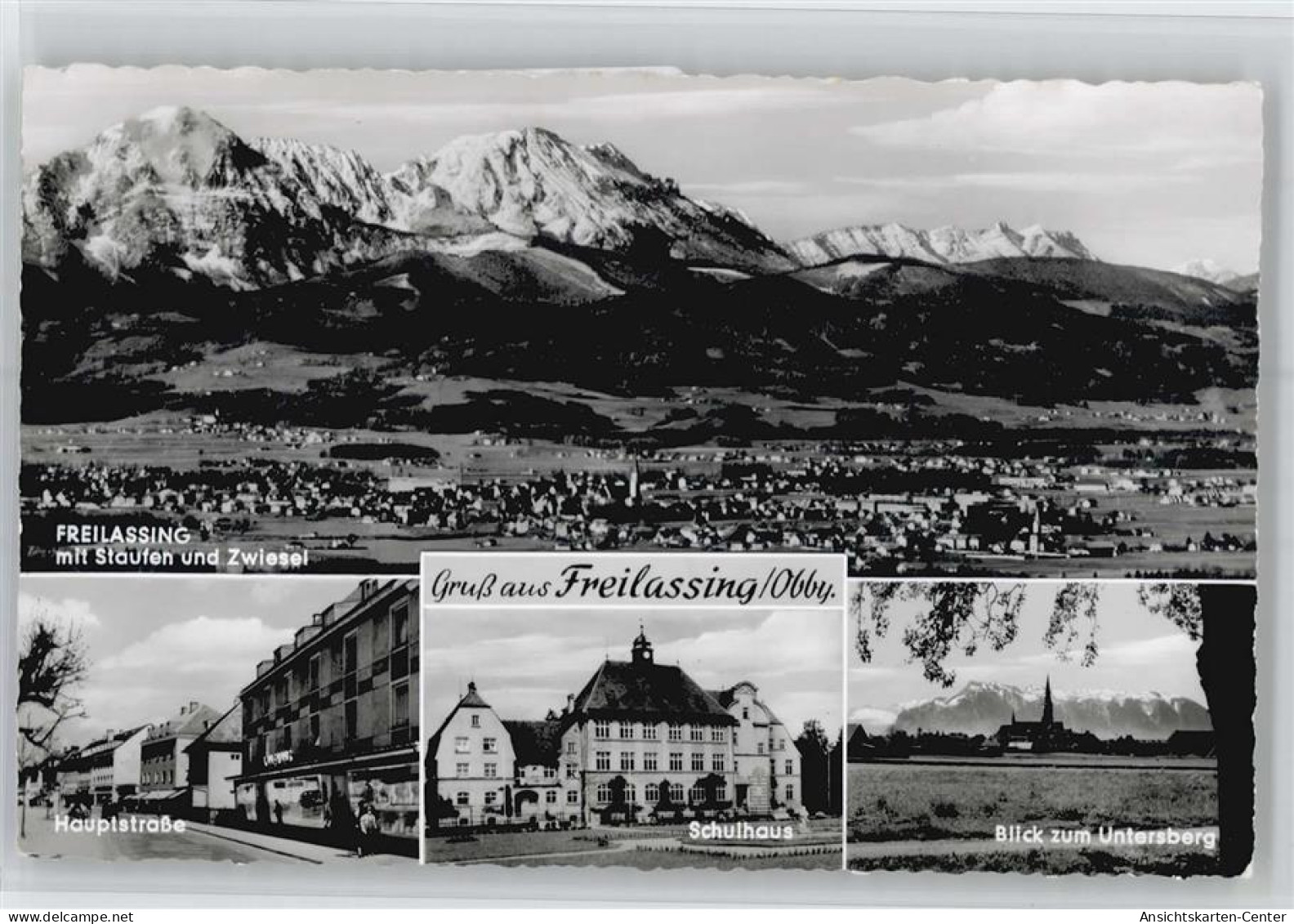 51119243 - Freilassing