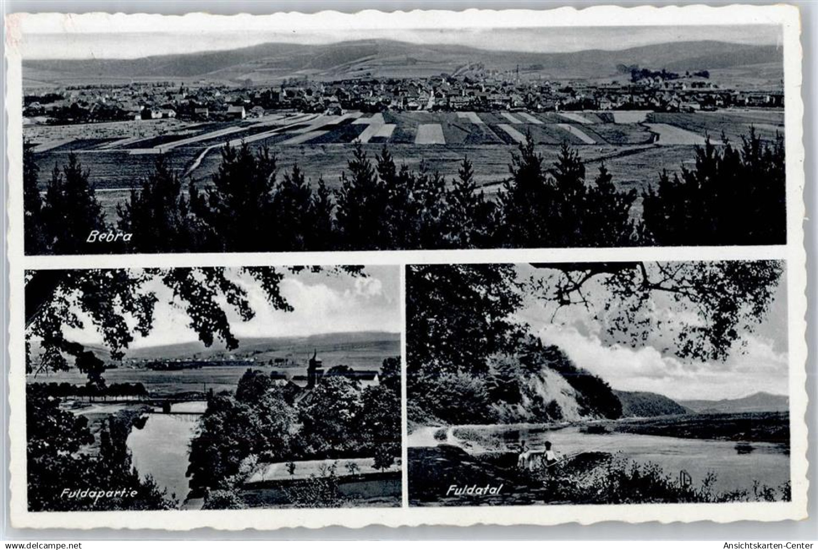 51121965 - Bebra