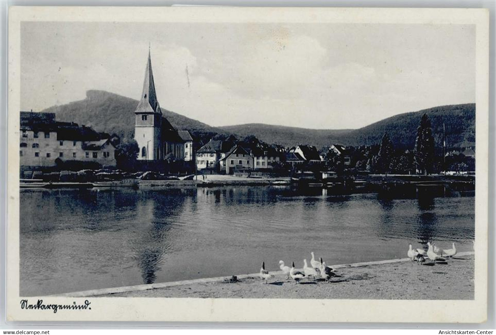 51124954 - Neckargemuend