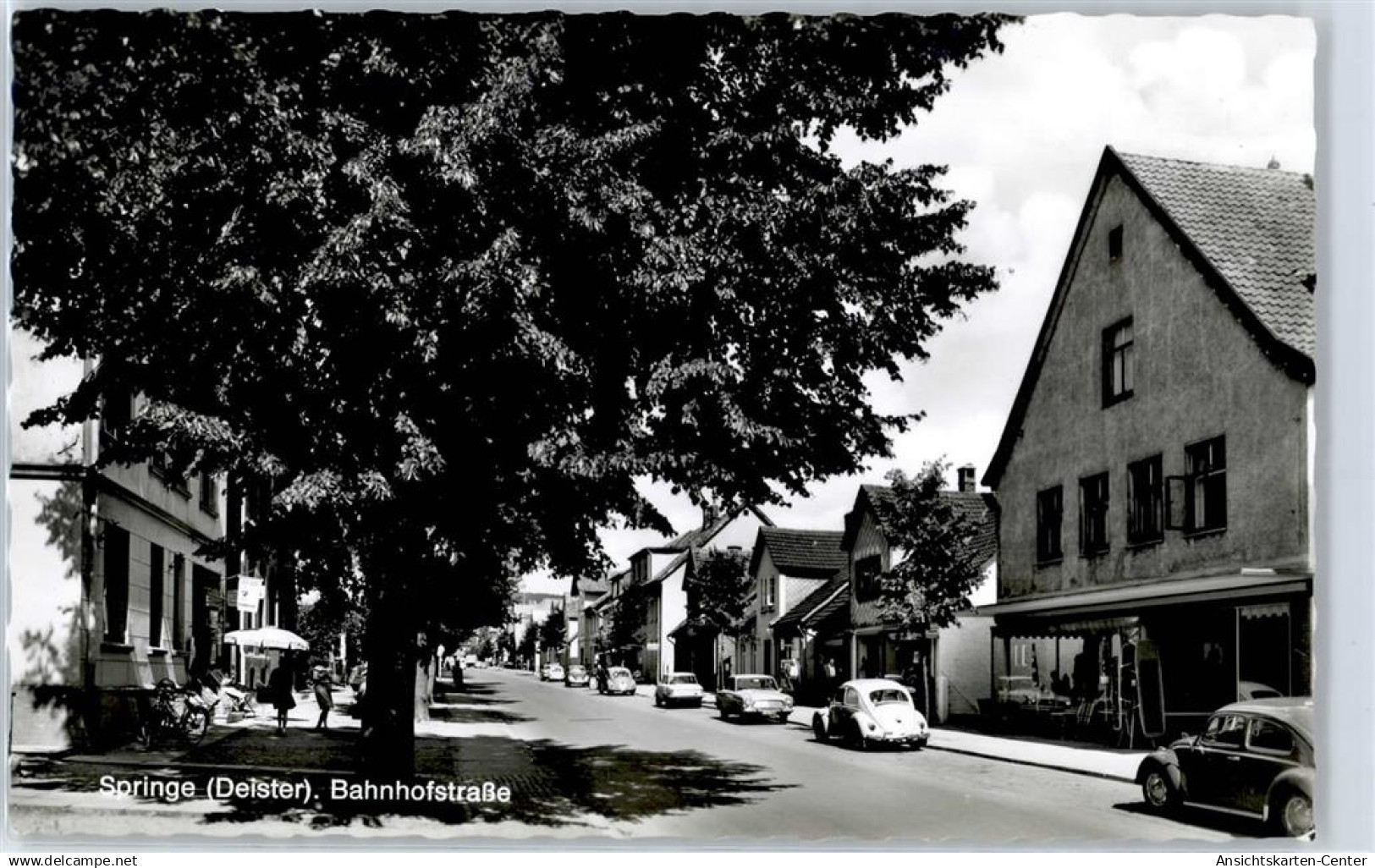 51125274 - Springe , Deister