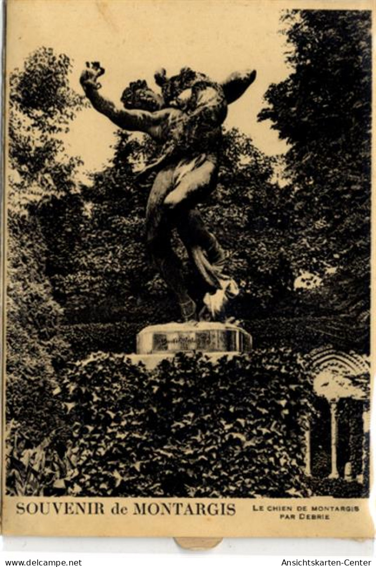 51126137 - Montargis