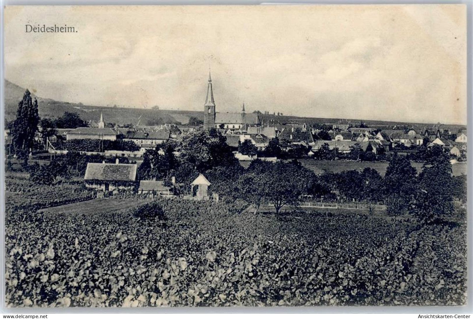 51137966 - Deidesheim