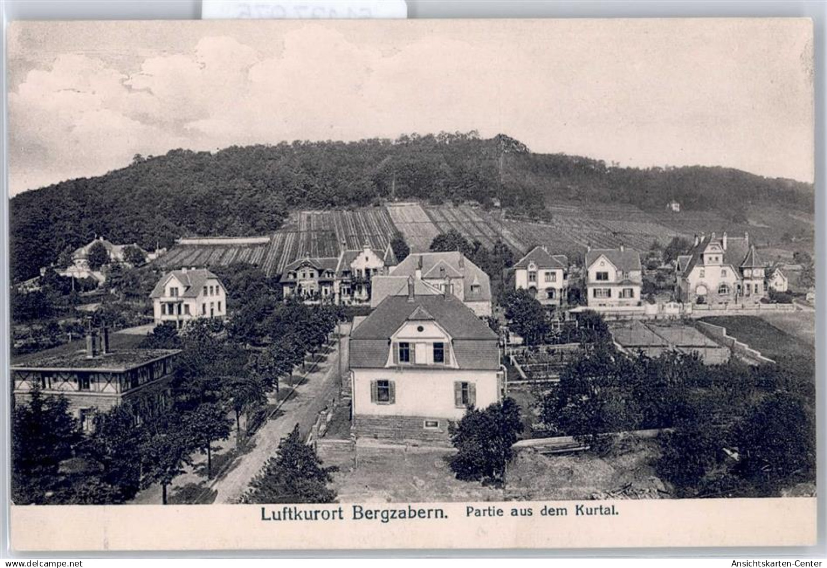 51137975 - Bad Bergzabern