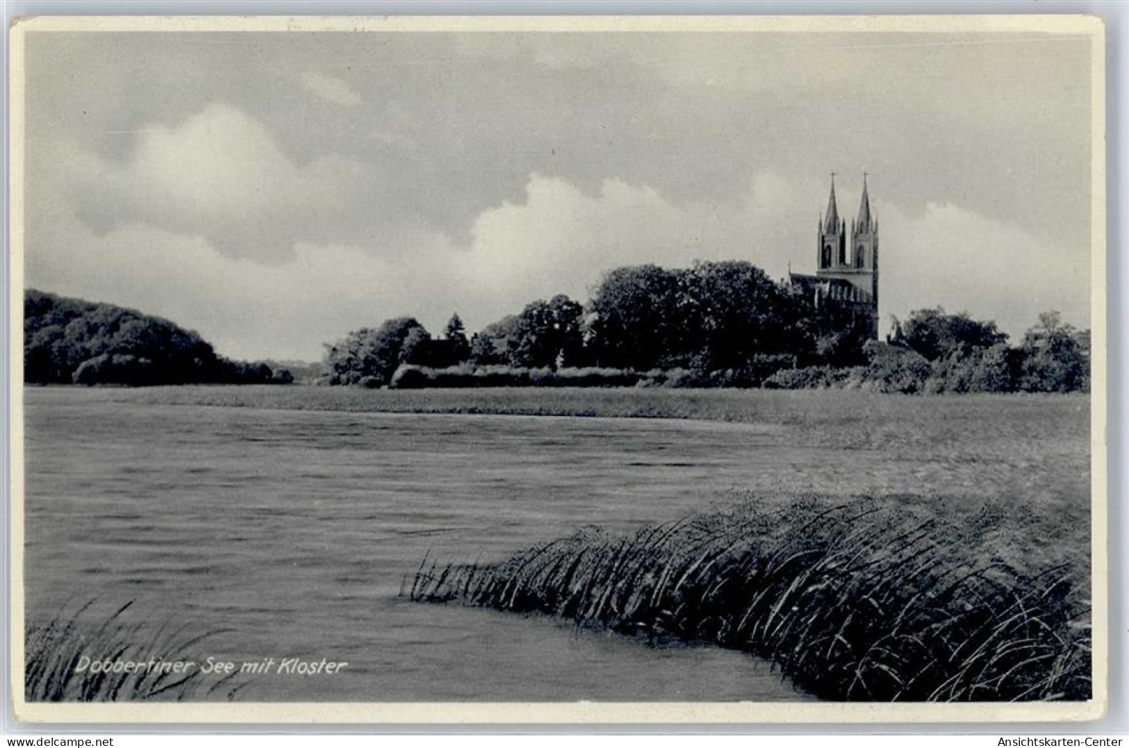 51138808 - Goldberg , Meckl