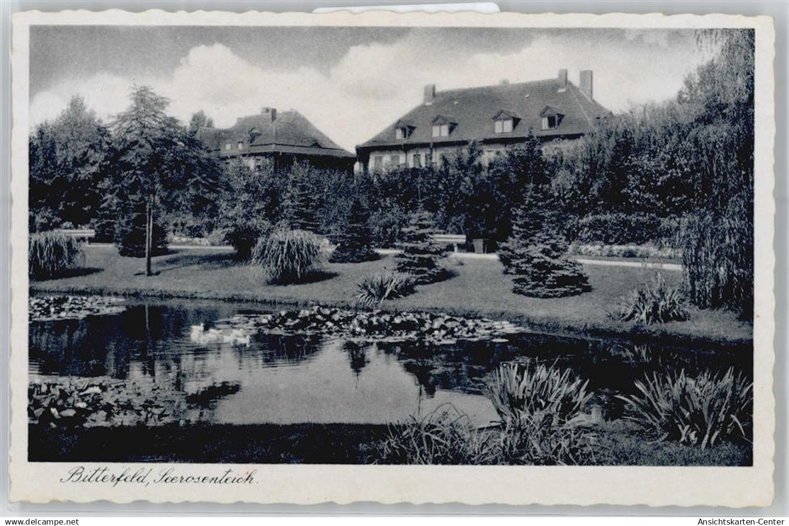 51147265 - Bitterfeld