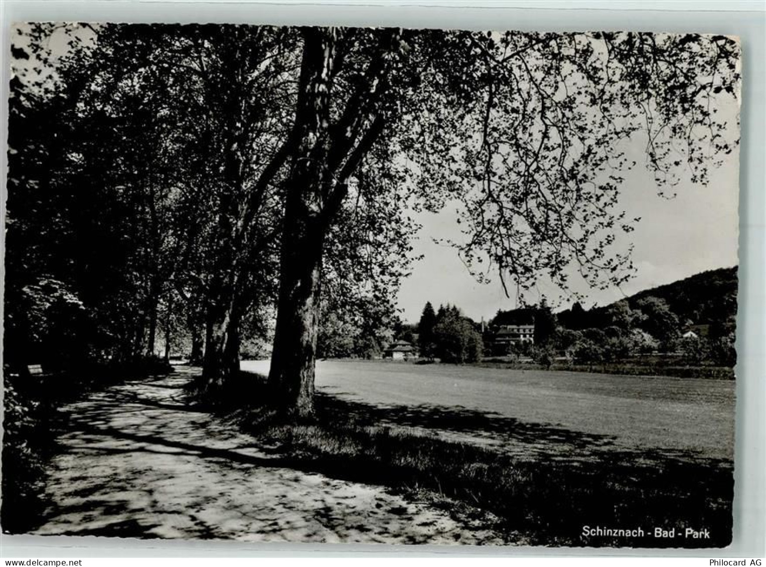 5116 Schinznach Bad - Park - 10584893