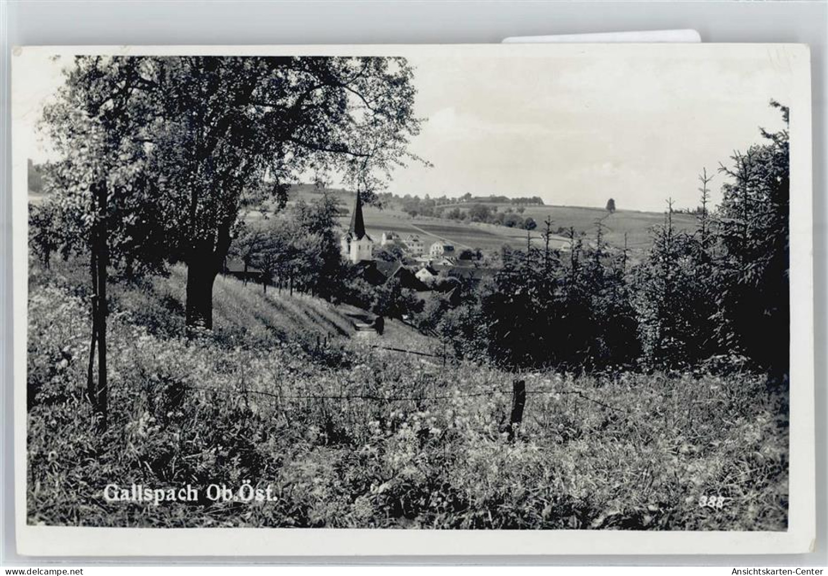 51171620 - Gallspach