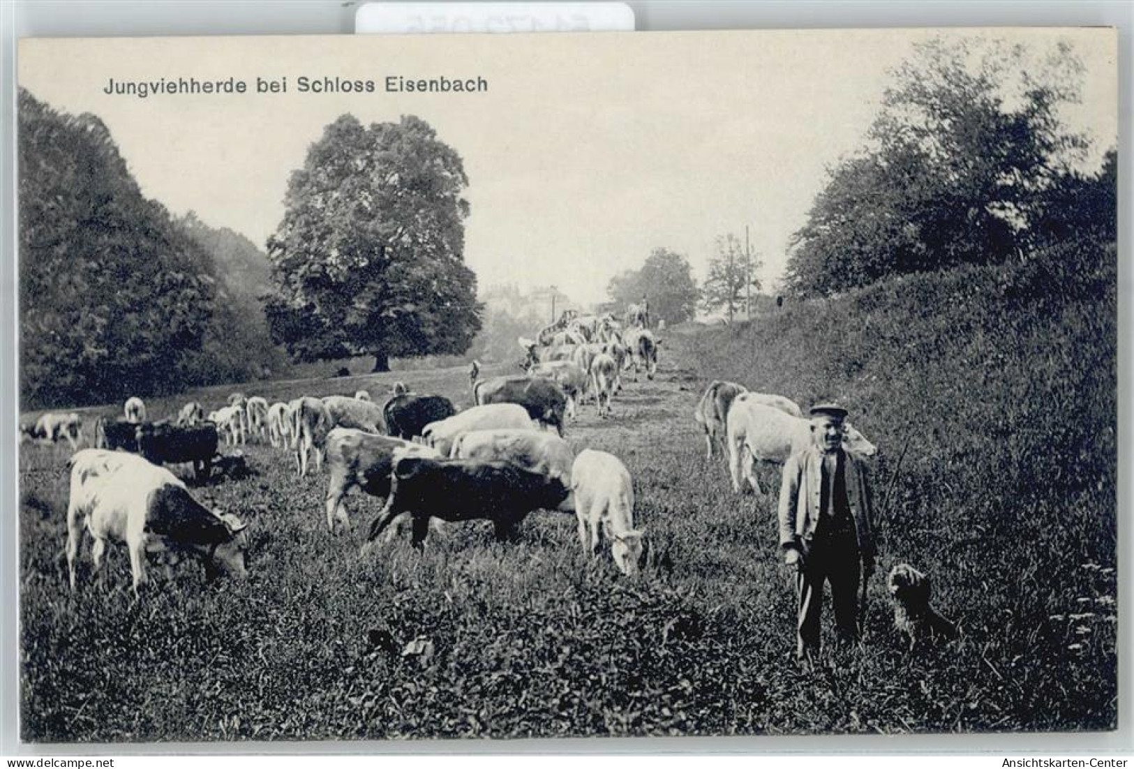 51173055 - Eisenach , Thuer