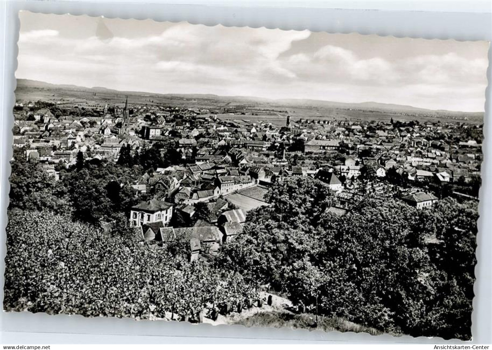 51194684 - Bad Duerkheim