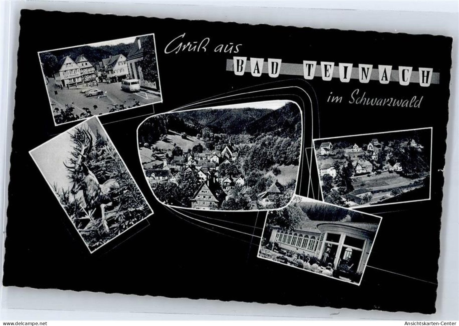 51194686 - Bad Teinach