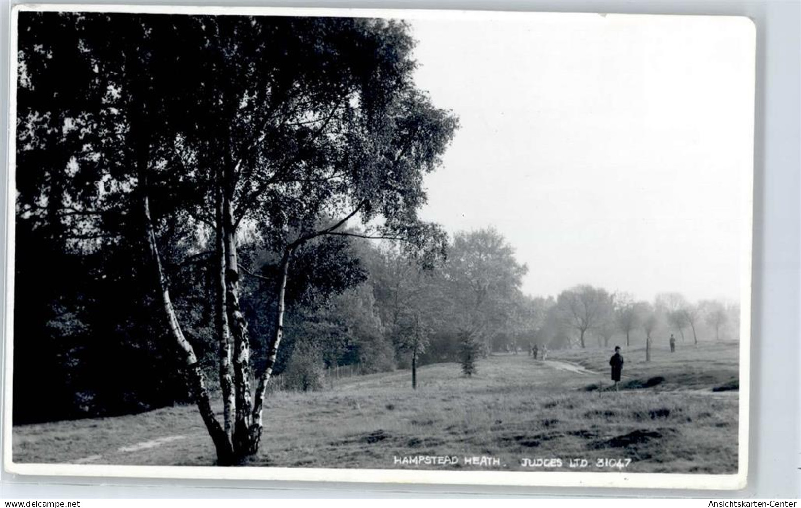 51194924 - Hastings