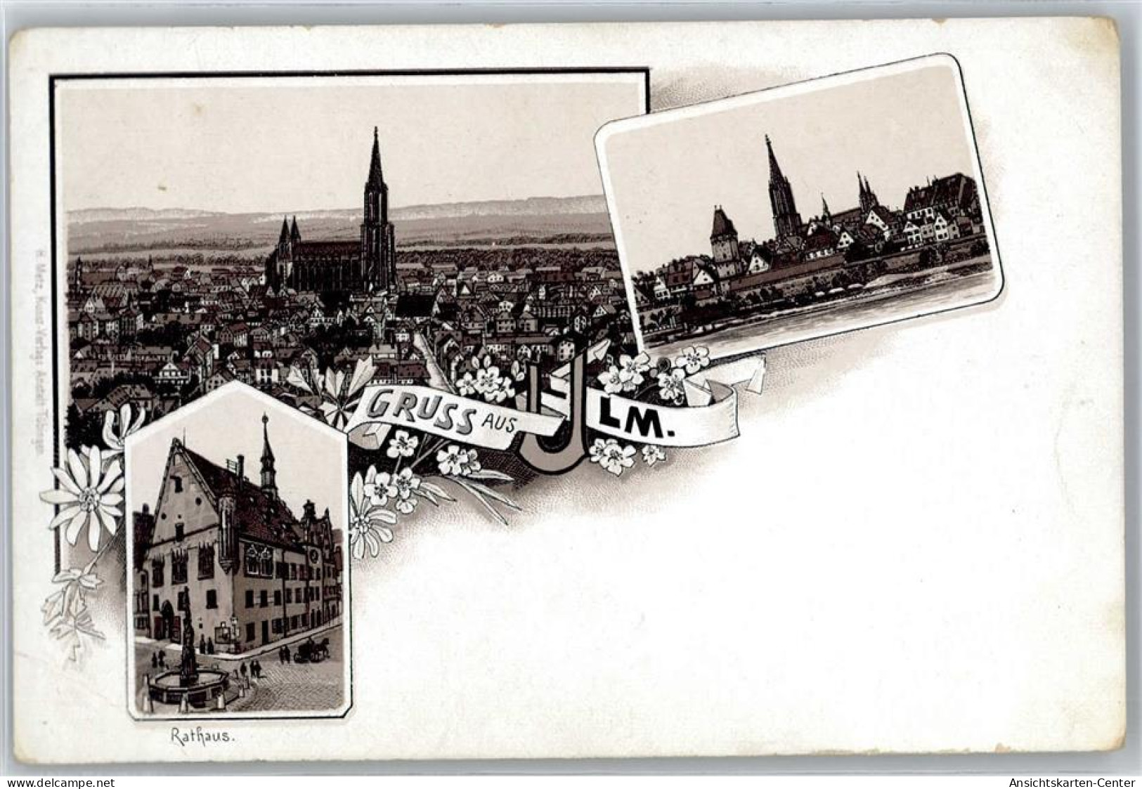 51196879 - Ulm