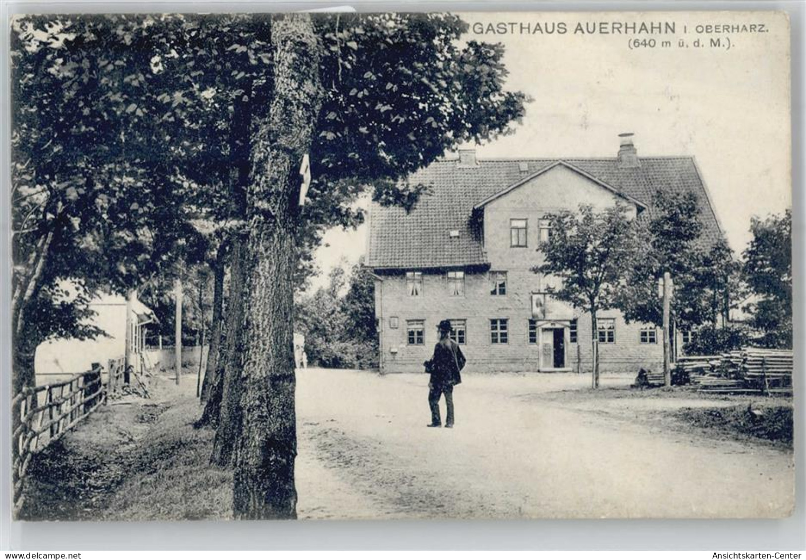 51215453 - Auerhahn , Oberharz