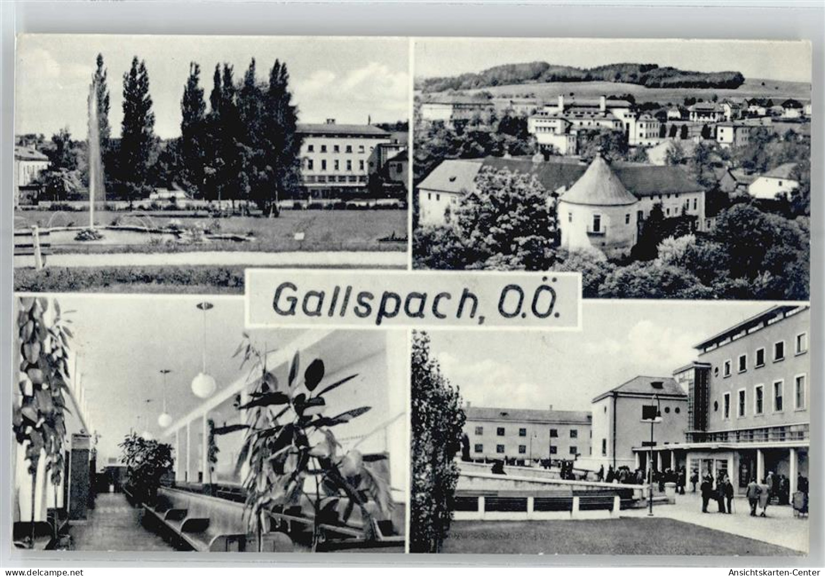 51217577 - Gallspach