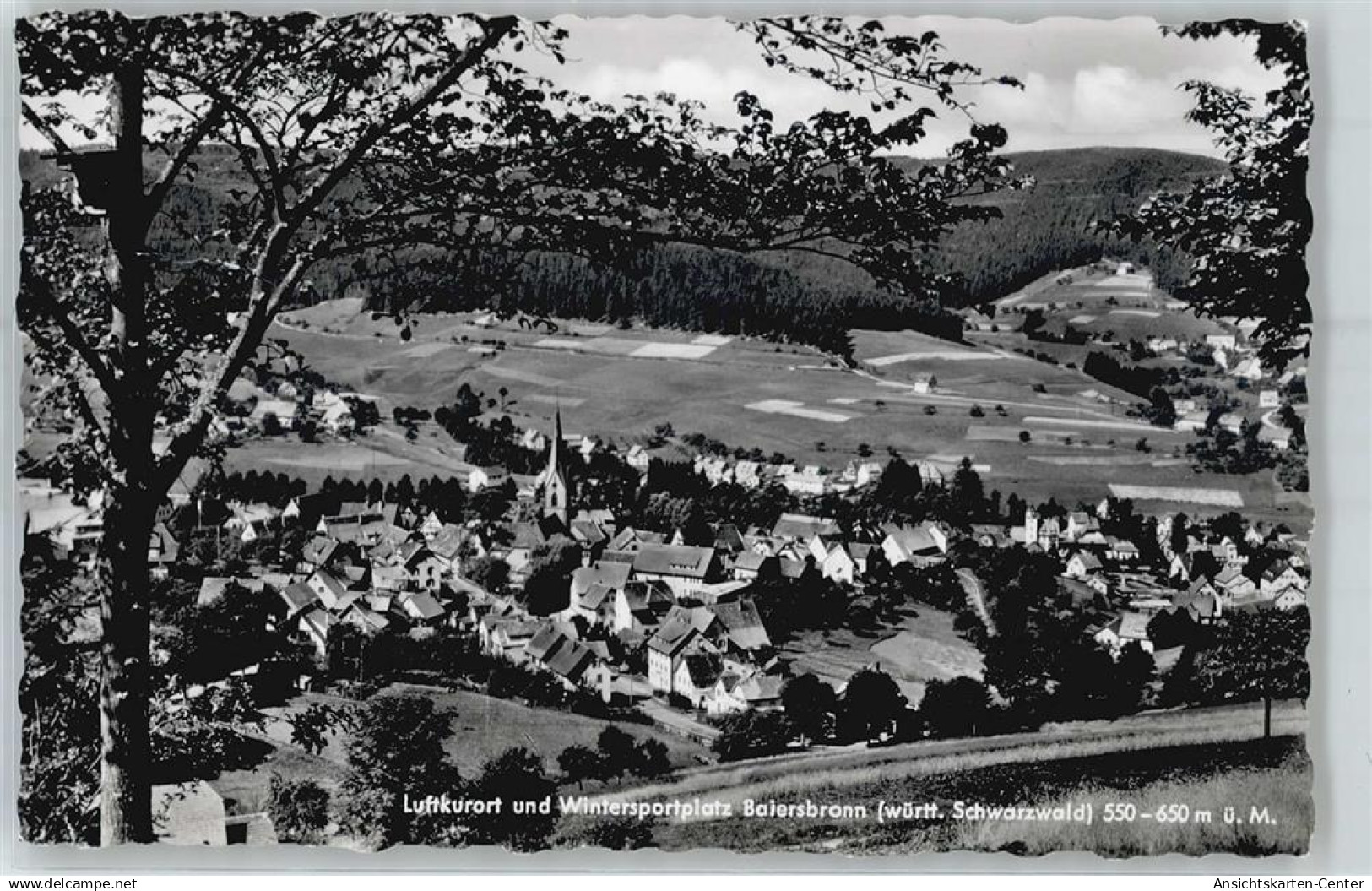 51217683 - Baiersbronn