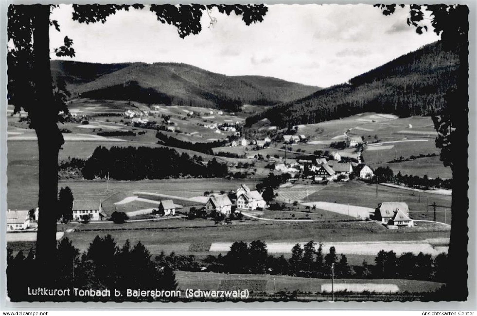51217684 - Baiersbronn