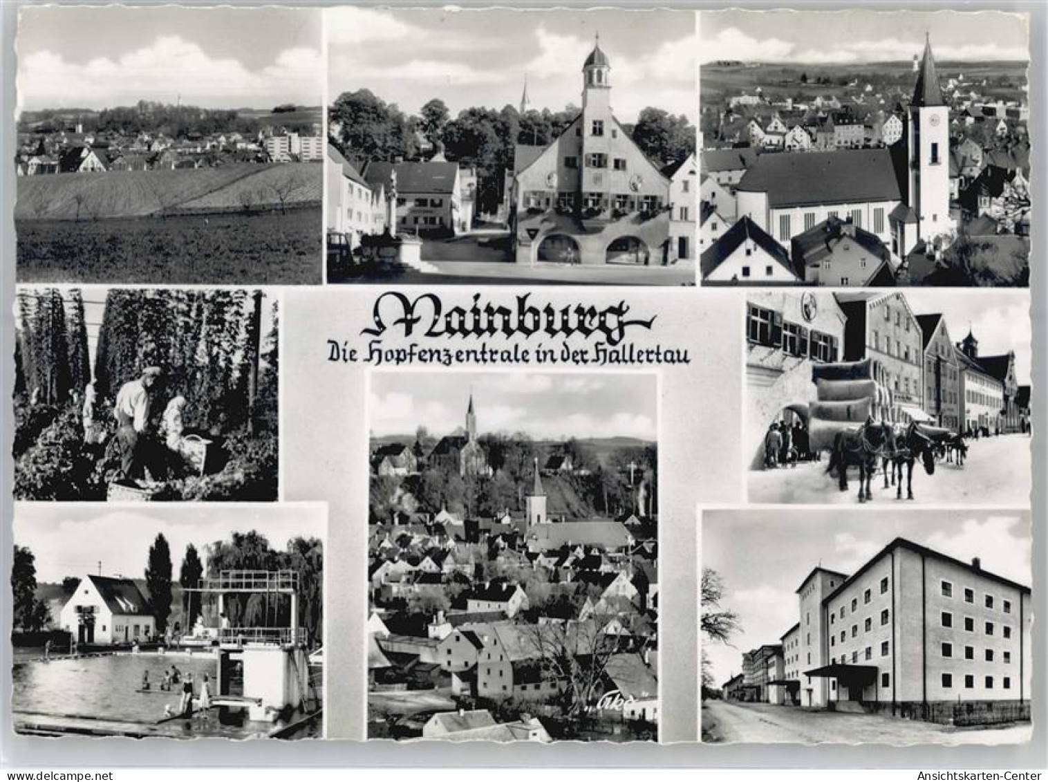 51219330 - Mainburg