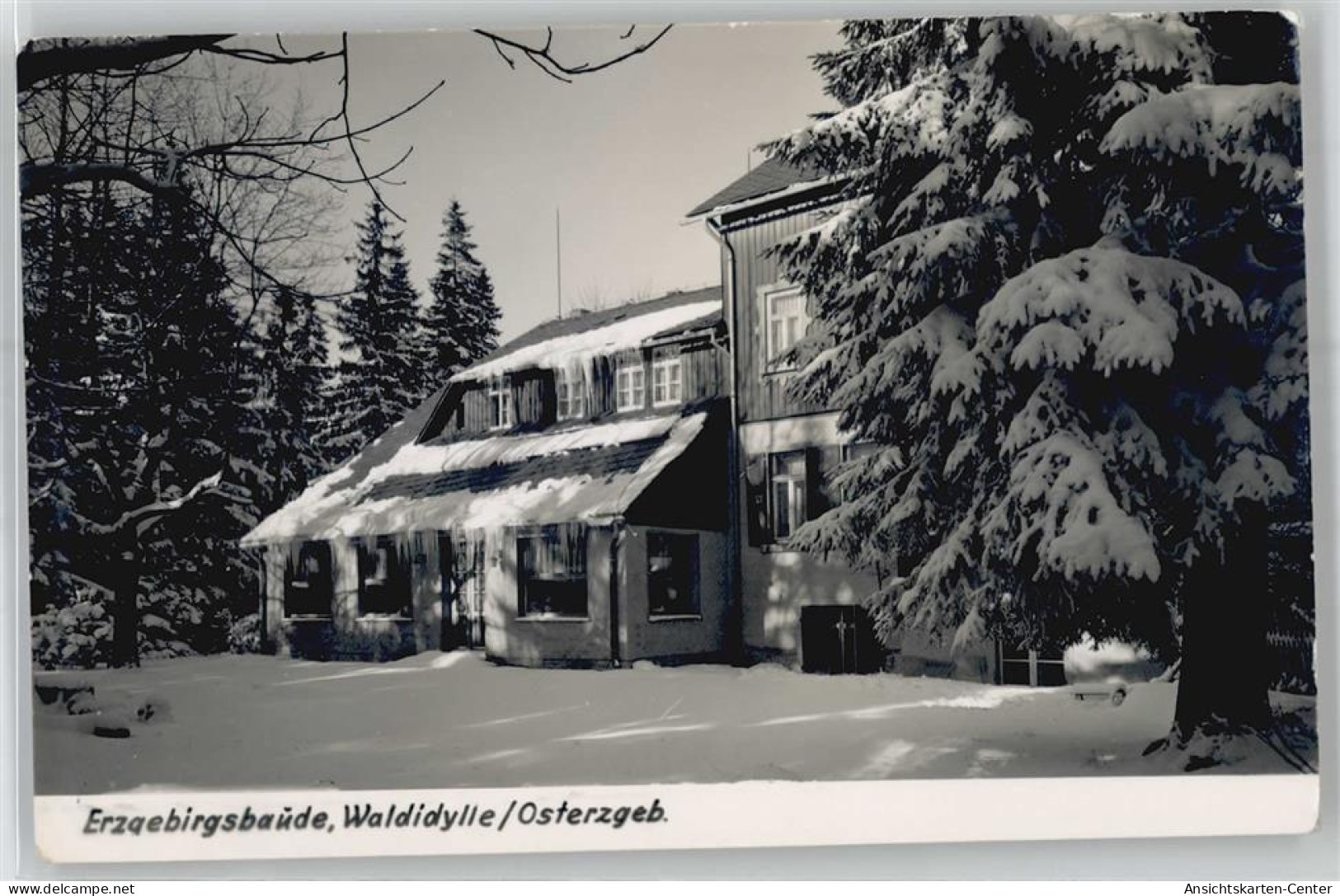 51219469 - Altenberg , Erzgeb