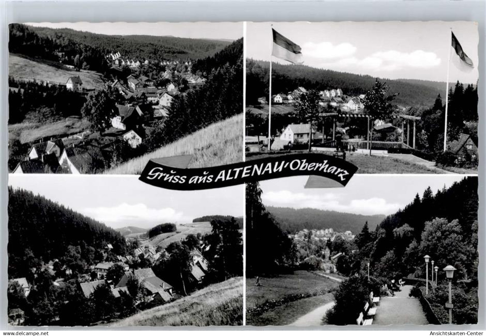 51268244 - Altenau , Harz