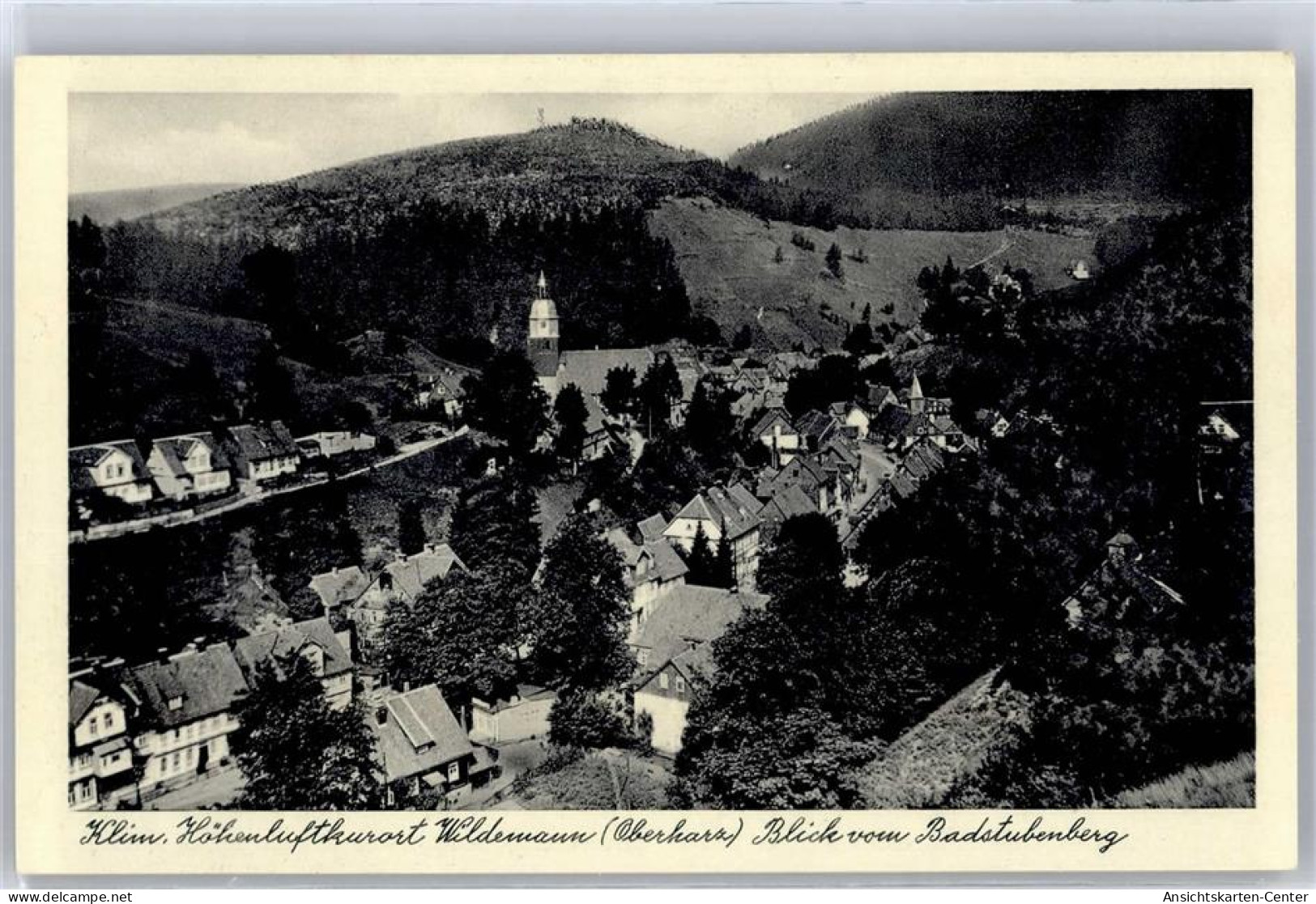 51268248 - Wildemann