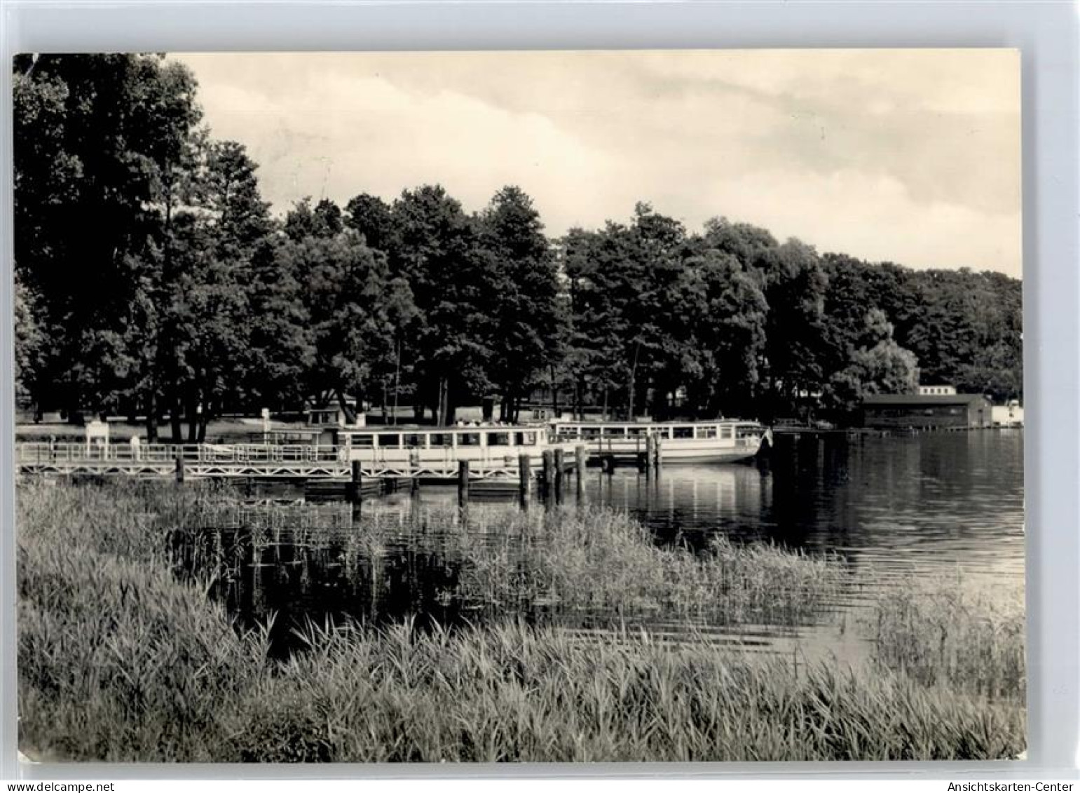 51274386 - Bad Saarow