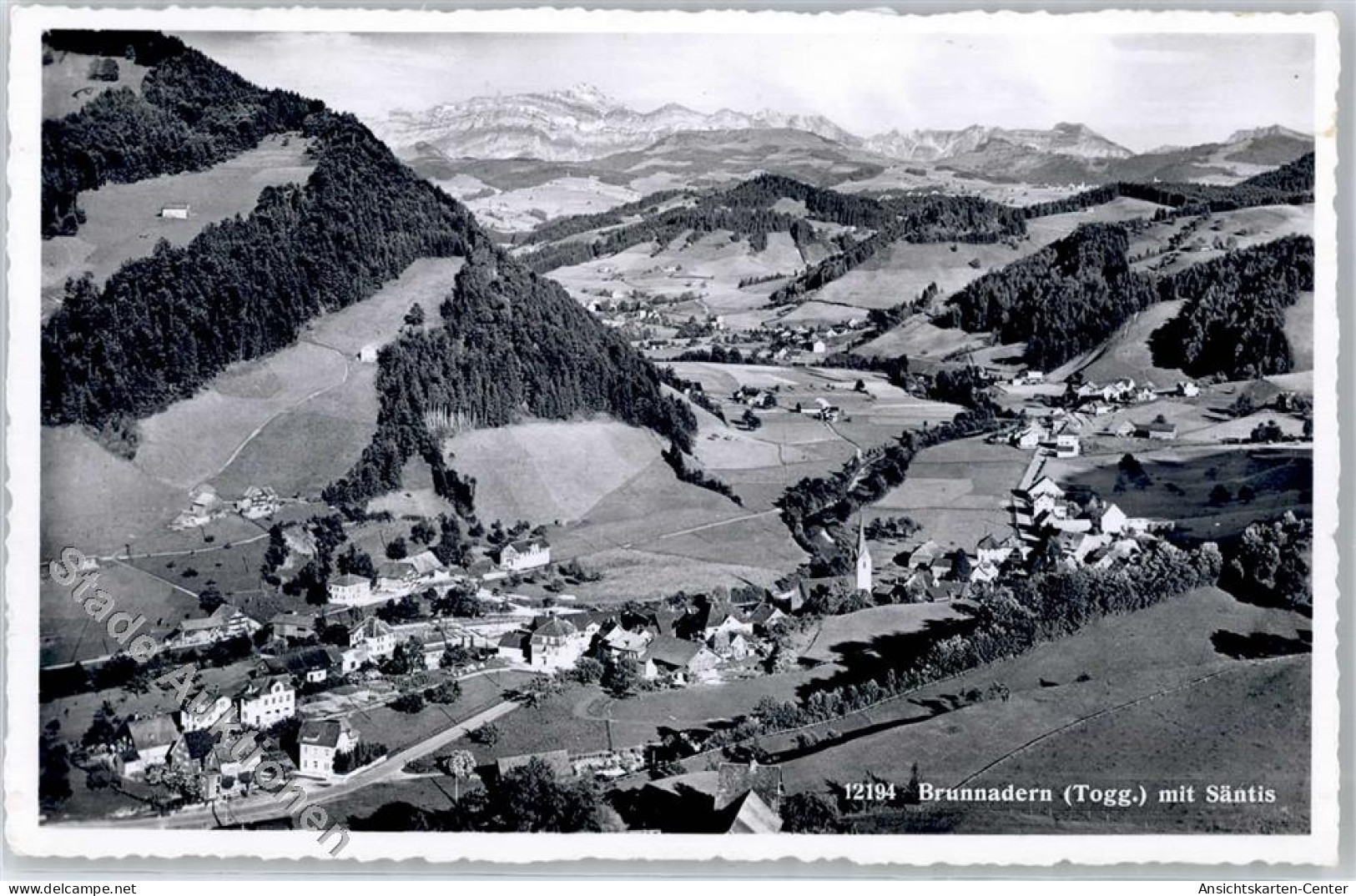 51282235 - Brunnadern