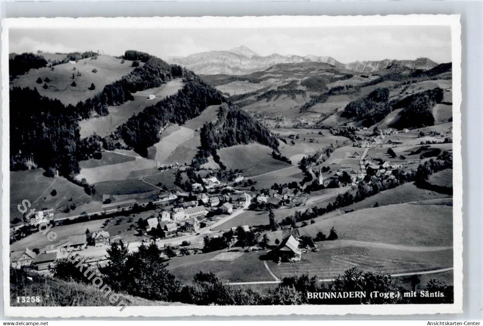 51282428 - Brunnadern