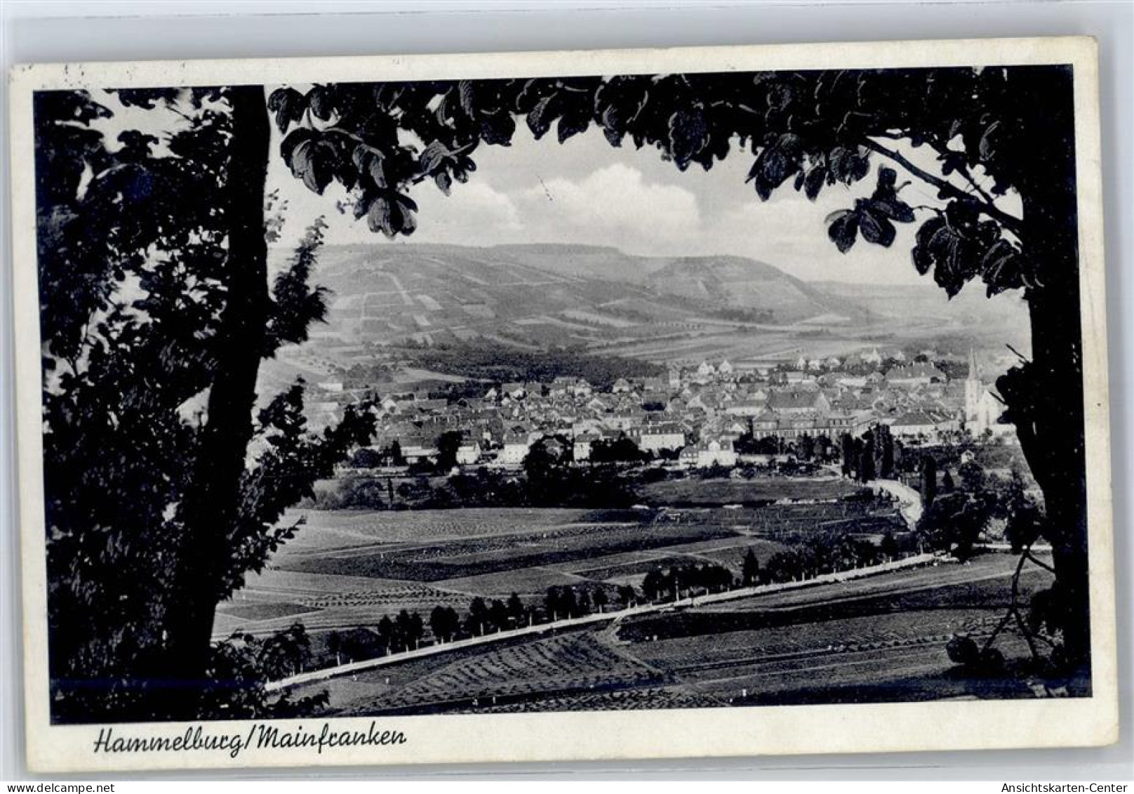 51289568 - Hammelburg