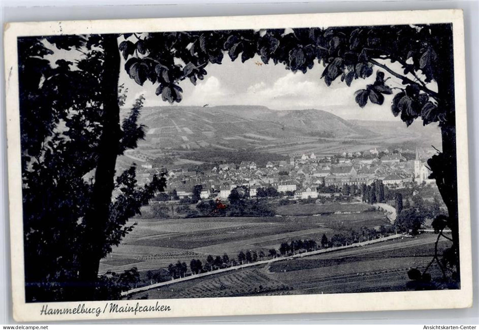 51289570 - Hammelburg