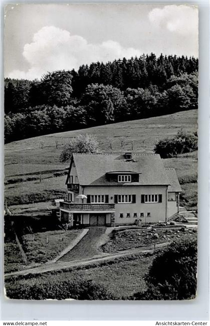 51298366 - Schmitten , Taunus