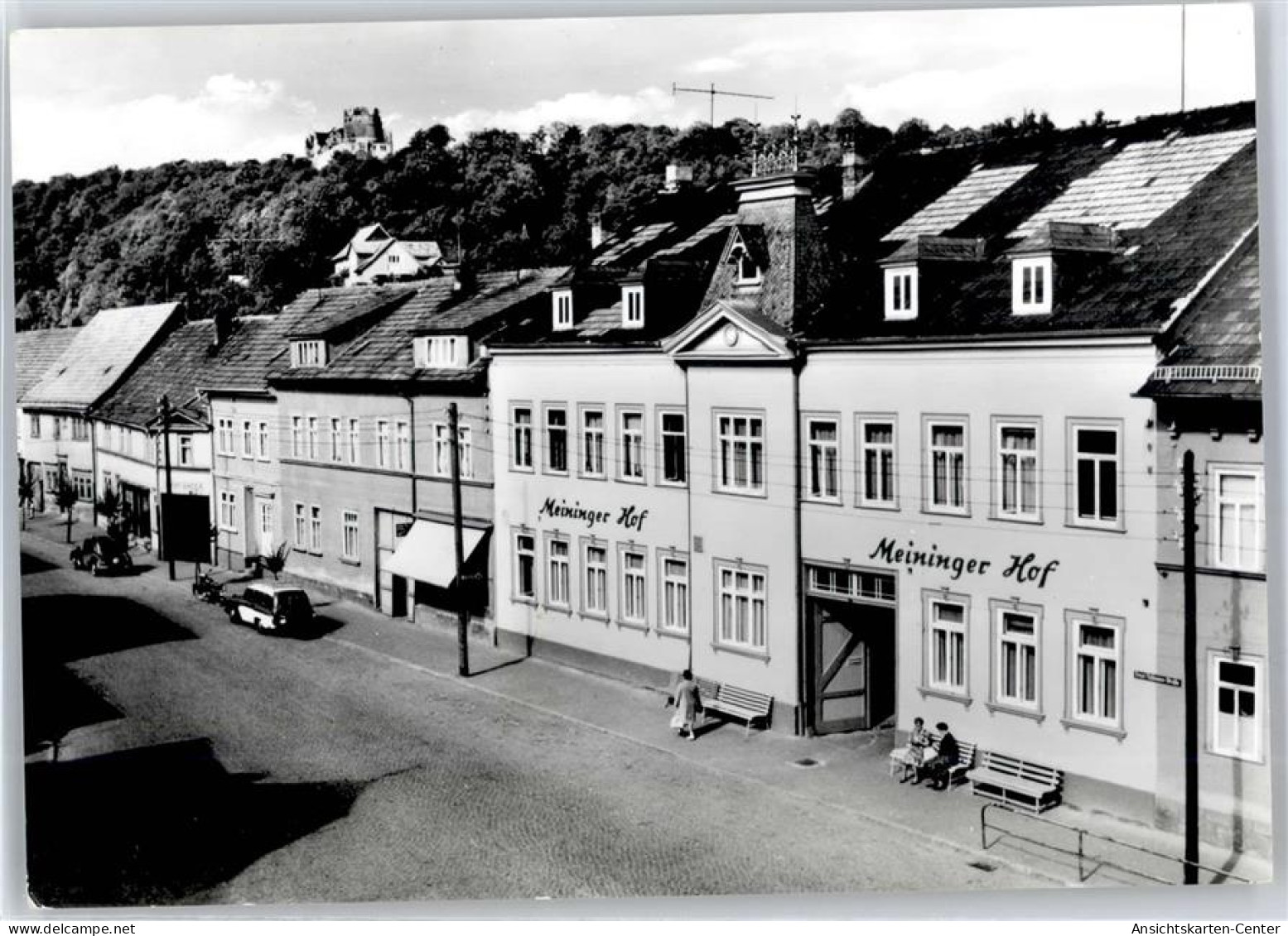 51299940 - Kranichfeld