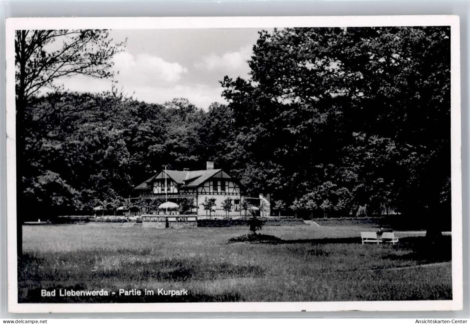 51313098 - Bad Liebenwerda